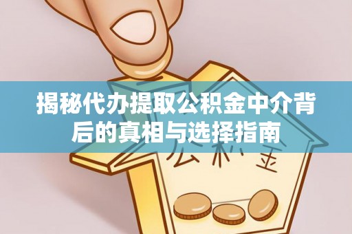 靖西揭秘代办提取公积金中介背后的真相与选择指南