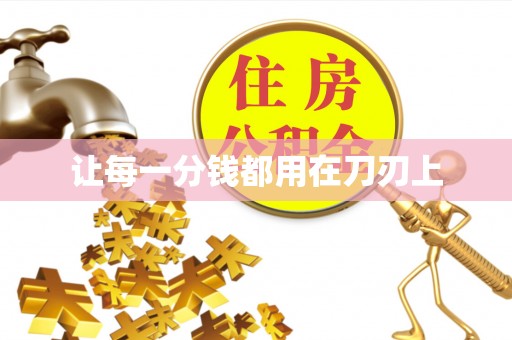 靖西让每一分钱都用在刀刃上