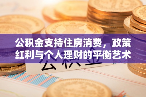 靖西公积金支持住房消费，政策红利与个人理财的平衡艺术