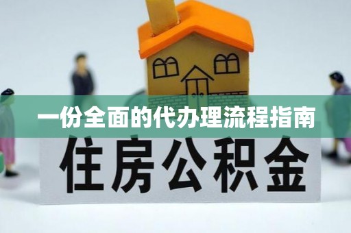 靖西一份全面的代办理流程指南