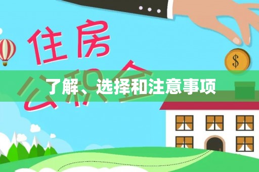 靖西了解、选择和注意事项