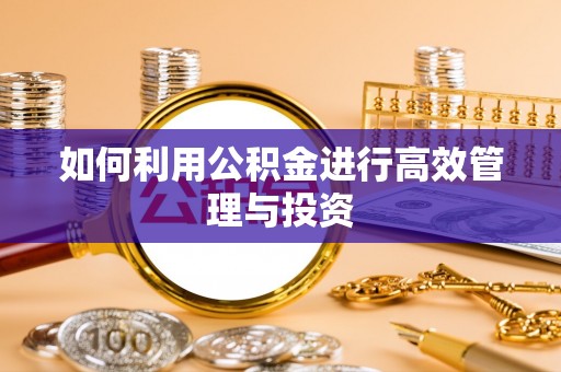 靖西如何利用公积金进行高效管理与投资