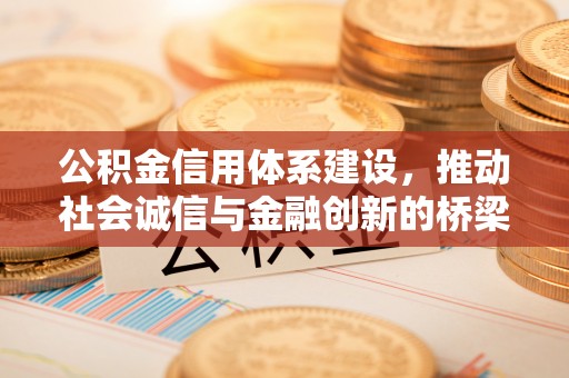 靖西公积金信用体系建设，推动社会诚信与金融创新的桥梁