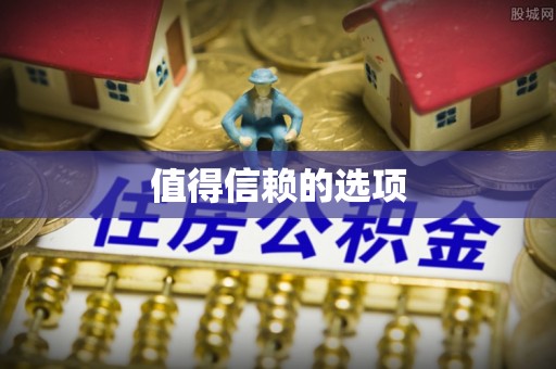 靖西值得信赖的选项