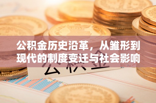 靖西公积金历史沿革，从雏形到现代的制度变迁与社会影响
