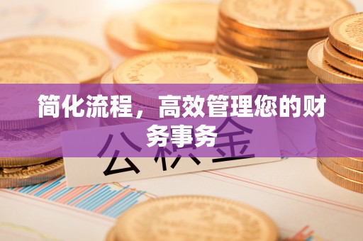 靖西简化流程，高效管理您的财务事务