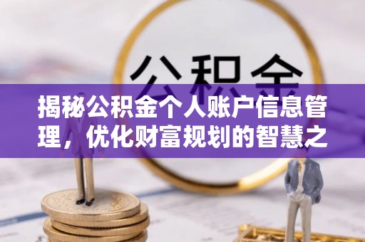 靖西揭秘公积金个人账户信息管理，优化财富规划的智慧之选