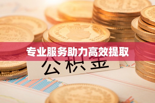 靖西专业服务助力高效提取