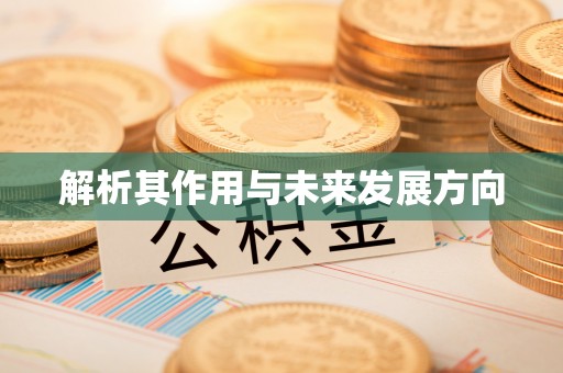 靖西解析其作用与未来发展方向