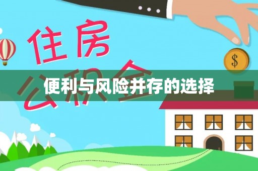 靖西便利与风险并存的选择