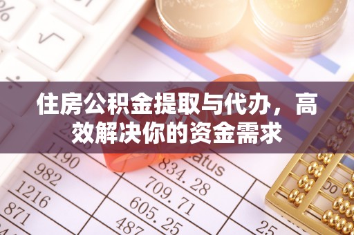 靖西住房公积金提取与代办，高效解决你的资金需求