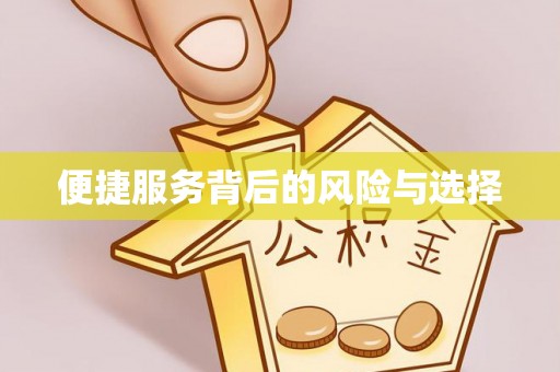 靖西便捷服务背后的风险与选择