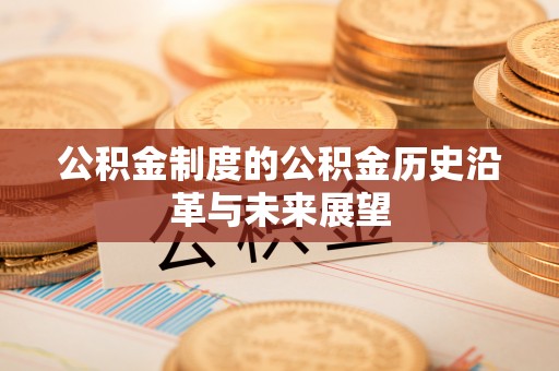 靖西公积金制度的公积金历史沿革与未来展望
