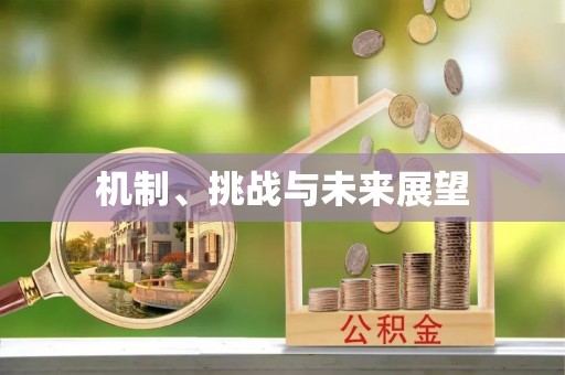 靖西机制、挑战与未来展望