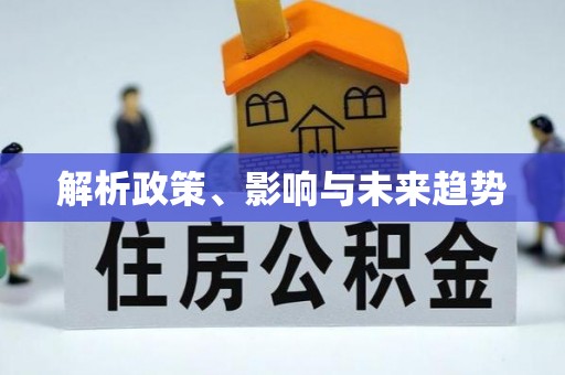 靖西解析政策、影响与未来趋势