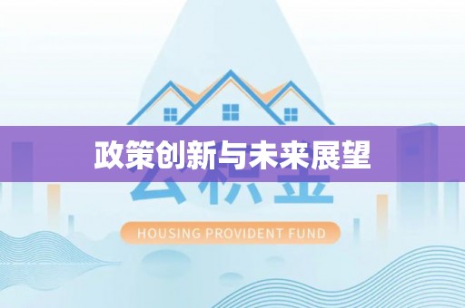 靖西政策创新与未来展望