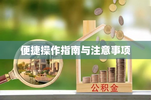 靖西便捷操作指南与注意事项
