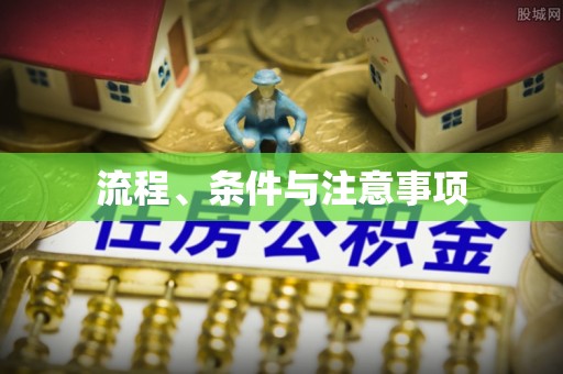 靖西流程、条件与注意事项